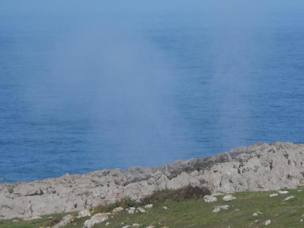 라 킨타에센시아 La Pereda de Llanes 외부 사진